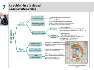 7. la población y la ciudad