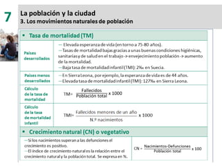 7. la población y la ciudad