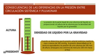 CONSECUENCIAS DE LAS DIFERENCIAS EN LA PRESIÓN ENTRE
CIRCULACIÓN SISTÉMICA Y PULMONAR
La presión de la parte basal de una columna de liquido es
proporcional a la altura de la columna por la densidad del
liquido por la gravedad.
Cuando se determina que la presión arterial sistémica media es
mas o menos de 100 mmHg, la presión desarrollada en la
aorta es equivalente a la presión de una columna de 100 mm
de altura. (empujara una columna de mercurio 100 mm hacia
arriba)
 