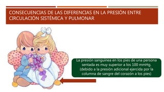 CONSECUENCIAS DE LAS DIFERENCIAS EN LA PRESIÓN ENTRE
CIRCULACIÓN SISTÉMICA Y PULMONAR
La presión sanguínea en los pies de una persona
sentada es muy superior a los 100 mmHg.
(debido a la presión adicional ejercida por la
columna de sangre del corazón a los pies)
 