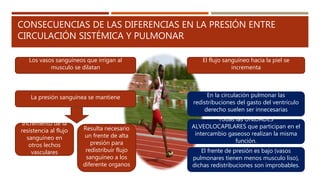 CONSECUENCIAS DE LAS DIFERENCIAS EN LA PRESIÓN ENTRE
CIRCULACIÓN SISTÉMICA Y PULMONAR
Los vasos sanguíneos que irrigan al
musculo se dilatan
El flujo sanguíneo hacia la piel se
incrementa
La presión sanguínea se mantiene En la circulación pulmonar las
redistribuciones del gasto del ventrículo
derecho suelen ser innecesarias
Incremento de la
resistencia al flujo
sanguíneo en
otros lechos
vasculares
Resulta necesario
un frente de alta
presión para
redistribuir flujo
sanguíneo a los
diferente organos
Todas las UNIDADES
ALVEOLOCAPILARES que participan en el
intercambio gaseoso realizan la misma
función.
El frente de presión es bajo (vasos
pulmonares tienen menos musculo liso),
dichas redistribuciones son improbables.
 