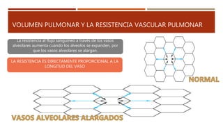 La resistencia al flujo sanguíneo a través de los vasos
alveolares aumenta cuando los alveolos se expanden, por
que los vasos alveolares se alargan.
LA RESISTENCIA ES DIRECTAMENTE PROPORCIONAL A LA
LONGITUD DEL VASO
VOLUMEN PULMONAR Y LA RESISTENCIA VASCULAR PULMONAR
 