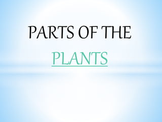 PARTS OF THE
PLANTS
 
