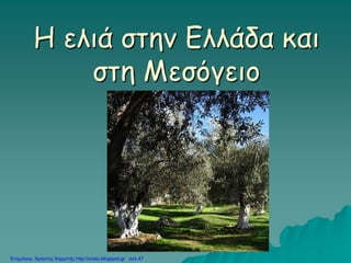 Η ελιά στην Ελλάδα και
στη Μεσόγειο
Επιμέλεια: Χρήστος Χαρμπής http://xristx.blogspot.gr σελ.47
 