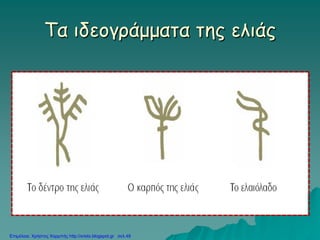 Τα ιδεογράμματα της ελιάς
Επιμέλεια: Χρήστος Χαρμπής http://xristx.blogspot.gr σελ.49
 