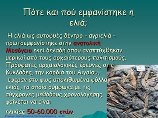 Η ελιά ως αυτοφυές δέντρο - αγριελιά -
πρωτοεμφανίστηκε στην ανατολική
Μεσόγειο εκεί δηλαδή όπου αναπτύχθηκαν
μερικοί από τους αρχαιότερους πολιτισμούς.
Πρόσφατες αρχαιολογικές έρευνες στις
Κυκλάδες, την καρδιά του Αιγαίου,
έφεραν στο φως απολιθωμένα φύλλα
ελιάς, τα οποία σύμφωνα με τις
σύγχρονες μεθόδους χρονολόγησης
φαίνεται να είναι
ηλικίας 50-60.000 ετών.
Πότε και πού εμφανίστηκε η
ελιά;
Επιμέλεια: Χρήστος Χαρμπής http://xristx.blogspot.gr σελ.50
 