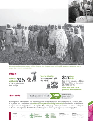 Seed producers get market-savvy - Women in Niger bag the best deals