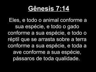 Gênesis 7:14
Eles, e todo o animal conforme a
sua espécie, e todo o gado
conforme a sua espécie, e todo o
réptil que se arrasta sobre a terra
conforme a sua espécie, e toda a
ave conforme a sua espécie,
pássaros de toda qualidade.
 