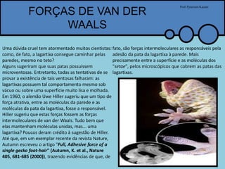 FORÇAS DE VAN DER
WAALS
Prof.PytersonKazaer
Uma dúvida cruel tem atormentado muitos cientistas:
como, de fato, a lagartixa consegue caminhar pelas
paredes, mesmo no teto?
Alguns sugeriram que suas patas possuissem
microventosas. Entretanto, todas as tentativas de se
provar a existência de tais ventosas falharam: as
lagartixas possuem tal comportamento mesmo sob
vácuo ou sobre uma superfície muito lisa e molhada.
Em 1960, o alemão Uwe Hiller sugeriu que um tipo de
força atrativa, entre as moléculas da parede e as
moléculas da pata da lagartixa, fosse a responsável.
Hiller sugeriu que estas forças fossem as forças
intermoleculares de van der Waals. Tudo bem que
elas mantenham moléculas unidas, mas... uma
lagartixa? Poucos deram crédito à sugestão de Hiller.
Até que, em um exemplar recente da revista Nature,
Autumn escreveu o artigo "Full, Adhesive force of a
single gecko foot-hair" (Autumn, K. et al., Nature
405, 681-685 (2000)), trazendo evidências de que, de
fato, são forças intermoleculares as responsáveis pela
adesão da pata da lagartixa à parede. Mais
precisamente entre a superfície e as moléculas dos
"setae", pelos microscópicos que cobrem as patas das
lagartixas.
 