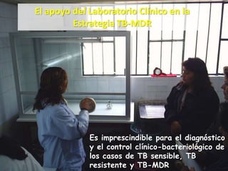 Es imprescindible para el diagnóstico
y el control clínico-bacteriológico de
los casos de TB sensible, TB
resistente y TB-MDR
El apoyo del Laboratorio Clínico en la
Estrategia TB-MDR
 