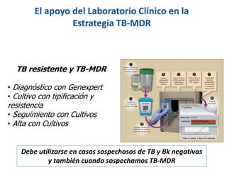TB resistente y TB-MDR
• Diagnóstico con Genexpert
• Cultivo con tipificación y
resistencia
• Seguimiento con Cultivos
• Alta con Cultivos
El apoyo del Laboratorio Clínico en la
Estrategia TB-MDR
Debe utilizarse en casos sospechosos de TB y Bk negativas
y también cuando sospechamos TB-MDR
 