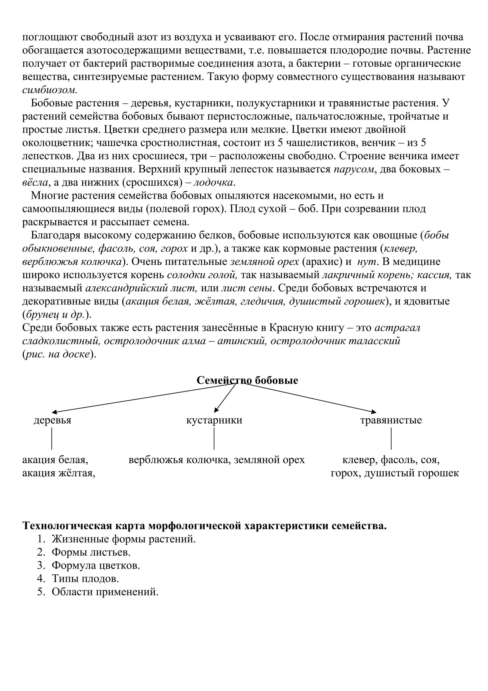 поглощают свободный азот из воздуха и усваивают его. После отмирания растений почва
обогащается азотосодержащими веществами, т.е. повышается плодородие почвы. Растение
получает от бактерий растворимые соединения азота, а бактерии – готовые органические
вещества, синтезируемые растением. Такую форму совместного существования называют
симбиозом.
Бобовые растения – деревья, кустарники, полукустарники и травянистые растения. У
растений семейства бобовых бывают перистосложные, пальчатосложные, тройчатые и
простые листья. Цветки среднего размера или мелкие. Цветки имеют двойной
околоцветник; чашечка сростнолистная, состоит из 5 чашелистиков, венчик – из 5
лепестков. Два из них сросшиеся, три – расположены свободно. Строение венчика имеет
специальные названия. Верхний крупный лепесток называется парусом, два боковых –
вёсла, а два нижних (сросшихся) – лодочка.
Многие растения семейства бобовых опыляются насекомыми, но есть и
самоопыляющиеся виды (полевой горох). Плод сухой – боб. При созревании плод
раскрывается и рассыпает семена.
Благодаря высокому содержанию белков, бобовые используются как овощные (бобы
обыкновенные, фасоль, соя, горох и др.), а также как кормовые растения (клевер,
верблюжья колючка). Очень питательные земляной орех (арахис) и нут. В медицине
широко используется корень солодки голой, так называемый лакричный корень; кассия, так
называемый александрийский лист, или лист сены. Среди бобовых встречаются и
декоративные виды (акация белая, жёлтая, гледичия, душистый горошек), и ядовитые
(брунец и др.).
Среди бобовых также есть растения занесённые в Красную книгу – это астрагал
сладколистный, остролодочник алма – атинский, остролодочник таласский
(рис. на доске).
Семейство бобовые
деревья кустарники травянистые
акация белая, верблюжья колючка, земляной орех клевер, фасоль, соя,
акация жёлтая, горох, душистый горошек
Технологическая карта морфологической характеристики семейства.
1. Жизненные формы растений.
2. Формы листьев.
3. Формула цветков.
4. Типы плодов.
5. Области применений.
 