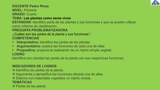 DOCENTE Pedro Pérez
NIVEL: Primaria
GRADO: Cuarto
TEMA: Las plantas como seres vivos
ESTÁNDAR: Identifico parte de las plantas y sus funciones y que se pueden utilizar
como criterios de clasificación.
PREGUNTA PROBLEMATIZADORA
¿Cuáles son las partes de la planta y sus funciones?
COMPETENCIAS
 Interpretativa: identifica las partes de las plantas
 Argumentativa: explica las funciones de cada una de ellas
 Propositiva: propone la realización de un injerto simple vegetal.
LOGRO
Identifica con claridad las partes de la planta con sus respectivas funciones.
INDICADORES DE LOGROS
 Identifica las partes de la planta.
 Argumenta y ejemplifica las funciones década una de ellas.
 Elabora con materiales vegetales un injerto simple.
TEMÁTICAS
 Partes de las planta
 