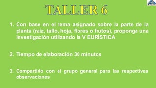 2. Tiempo de elaboración 30 minutos
1. Con base en el tema asignado sobre la parte de la
planta (raíz, tallo, hoja, flores o frutos), proponga una
investigación utilizando la V EURÍSTICA
3. Compartirlo con el grupo general para las respectivas
observaciones
 