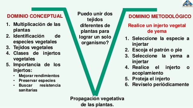 Resultado de imagen para v heurÃ­stica