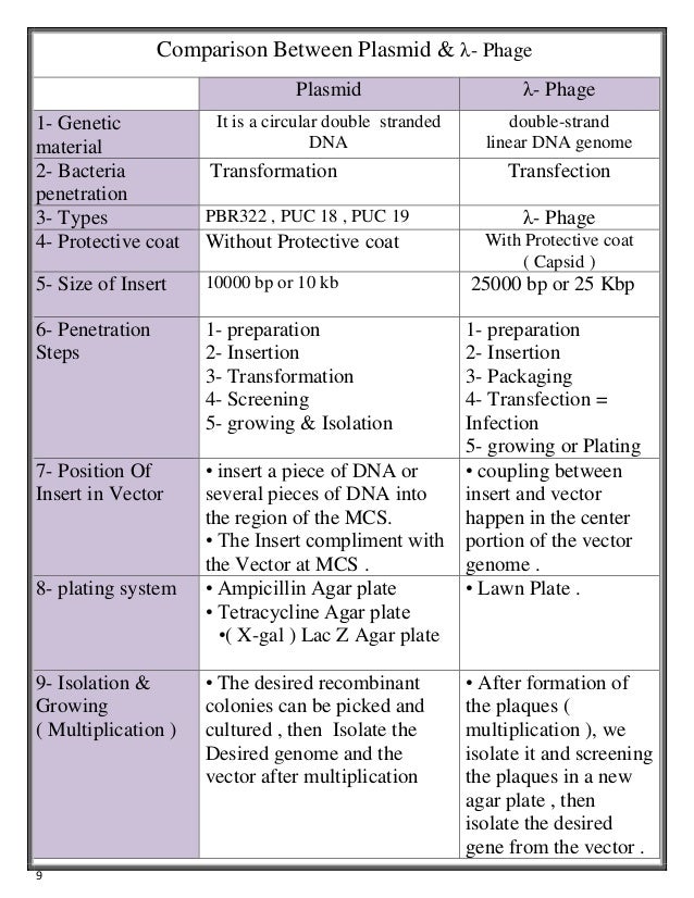 MULTIPLE CLONING SITE and BACTERIOPHAGE LAMBDA (λ phage )