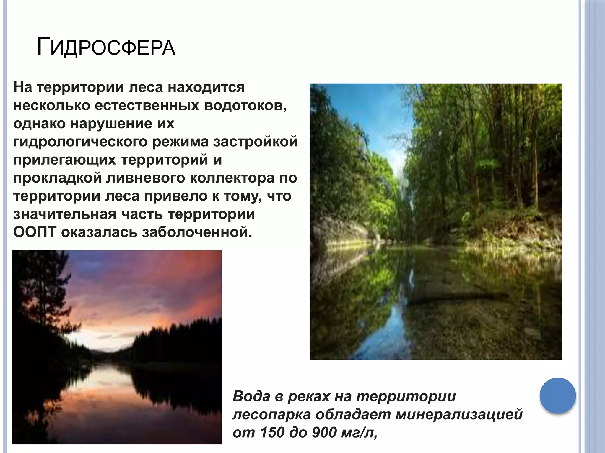 ГИДРОСФЕРА
На территории леса находится
несколько естественных водотоков,
однако нарушение их
гидрологического режима застройкой
прилегающих территорий и
прокладкой ливневого коллектора по
территории леса привело к тому, что
значительная часть территории
ООПТ оказалась заболоченной.
Вода в реках на территории
лесопарка обладает минерализацией
от 150 до 900 мг/л,
 
