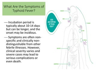 What Are the Symptoms of
Typhoid Fever?
 Incubation period is
typically about 10-14 days
but can be longer, and the
onset...
