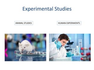 Experimental Studies
ANIMAL STUDIES HUMAN EXPERIMENTS
 