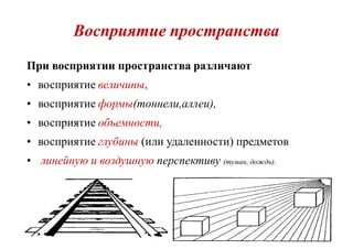 Восприятие пространстваВосприятие пространства
При восприятии пространства различают
• восприятие величины,
• восприятие формы(тоннели,аллеи),
• восприятие объемности,
• восприятие глубины (или удаленности) предметов
• линейную и воздушную перспективу (туман, дождь).
 