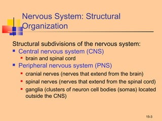 15-3
Nervous System: Structural
Organization
Structural subdivisions of the nervous system:
 Central nervous system (CNS)
 brain and spinal cord
 Peripheral nervous system (PNS)
 cranial nerves (nerves that extend from the brain)
 spinal nerves (nerves that extend from the spinal cord)
 ganglia (clusters of neuron cell bodies (somas) located
outside the CNS)
 