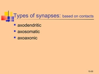 15-30
Types of synapses: based on contacts
 axodendritic
 axosomatic
 axoaxonic
 