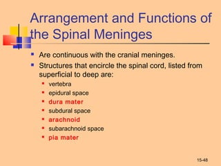 15-48
Arrangement and Functions of
the Spinal Meninges
 Are continuous with the cranial meninges.
 Structures that encircle the spinal cord, listed from
superficial to deep are:
 vertebra
 epidural space
 dura mater
 subdural space
 arachnoid
 subarachnoid space
 pia mater
 