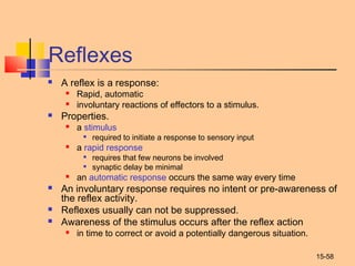 15-58
Reflexes
 A reflex is a response:
 Rapid, automatic
 involuntary reactions of effectors to a stimulus.
 Properties.
 a stimulus

required to initiate a response to sensory input
 a rapid response

requires that few neurons be involved

synaptic delay be minimal
 an automatic response occurs the same way every time
 An involuntary response requires no intent or pre-awareness of
the reflex activity.
 Reflexes usually can not be suppressed.
 Awareness of the stimulus occurs after the reflex action
 in time to correct or avoid a potentially dangerous situation.
 
