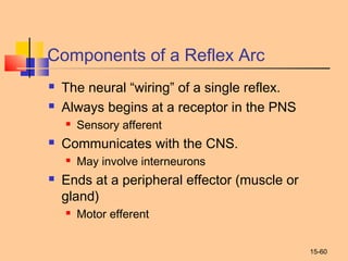 15-60
Components of a Reflex Arc
 The neural “wiring” of a single reflex.
 Always begins at a receptor in the PNS
 Sensory afferent
 Communicates with the CNS.
 May involve interneurons
 Ends at a peripheral effector (muscle or
gland)
 Motor efferent
 