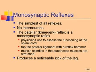 15-62
Monosynaptic Reflexes
 The simplest of all reflexes.
 No interneurons.
 The patellar (knee-jerk) reflex is a
monosynaptic reflex
 physicians use to assess the functioning of the
spinal cord.
 tap the patellar ligament with a reflex hammer
 muscle spindles in the quadriceps muscles are
stretched.
 Produces a noticeable kick of the leg.
 