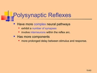 15-63
Polysynaptic Reflexes
 Have more complex neural pathways
 exhibit a number of synapses
 involve interneurons within the reflex arc.
 Has more components
 more prolonged delay between stimulus and response.
 