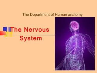 1
The Department of Human anatomy
The Nervous
System
 
