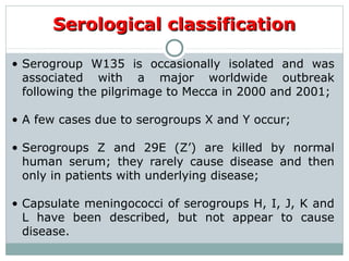 • Serogroup W135 is occasionally isolated and was
associated with a major worldwide outbreak
following the pilgrimage to Mecca in 2000 and 2001;
• A few cases due to serogroups X and Y occur;
• Serogroups Z and 29E (Z’) are killed by normal
human serum; they rarely cause disease and then
only in patients with underlying disease;
• Capsulate meningococci of serogroups H, I, J, K and
L have been described, but not appear to cause
disease.
Serological classificationSerological classification
 