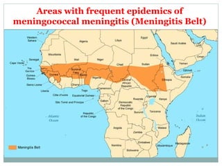Areas with frequent epidemics of
meningococcal meningitis (Meningitis Belt)
 