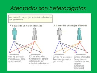 Afectados son heterocigotos
 
