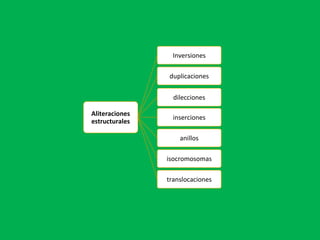 Aliteraciones
estructurales
Inversiones
duplicaciones
dilecciones
inserciones
anillos
isocromosomas
translocaciones
 