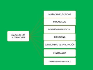 CAUSAS DE LAS
ALTERACIONES
MUTACIONES DE NOVO
MOSAICISMO
DISOMÍA UNIPARENTAL
IMPRINTING
EL FENOMENO DE ANTICIPACIÓN
PENETRANCIA
EXPRESIBIDAD VARIABLE
 