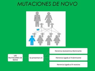 MUTACIONES DE NOVO
LAS
MUTACIONES DE
NOVO
Se presentan en
Herencia Autosómica Dominante
Herencia Ligada al X dominante
Herencia Ligada al X recesiva
 