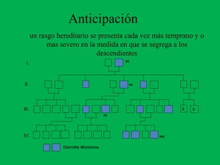 Anticipación
2 3
I.
II.
IV.
III.
Distrofia Miotónica
60
40
20
RN
un rasgo hereditario se presenta cada vez más temprano y o
mas severo en la medida en que se segrega a los
descendientes
 