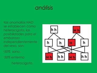 análisis
§
las anomalías HAD
se establecen como
heterocigoto, las
posibilidades para el
embarazo
independientemente
del sexo, son:
§
50% sano.
§
50% enfermo
heterocigoto.
 