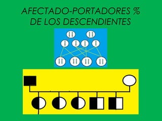 AFECTADO-PORTADORES %
DE LOS DESCENDIENTES
 