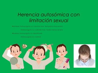 Herencia autosómica con
limitación sexual
●
Hombre: homocigoto cc calvicie mas temprano mas severo
Heterocigoto Cc calvicie mas tarde menos severa
●
Mujeres: homocigoto cc hipotricosis
Heterocigoto Cc normal
 