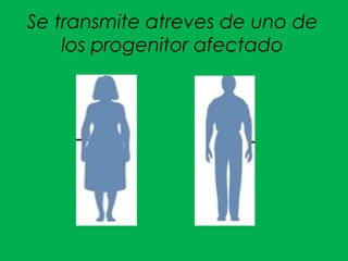 Se transmite atreves de uno de
los progenitor afectado
 