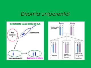 Disomia uniparental
 