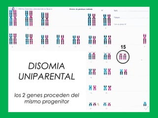 DISOMIA
UNIPARENTAL
los 2 genes proceden del
mismo progenitor
 