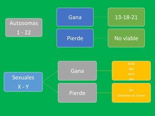 Autosomas
1 - 22
Gana 13-18-21
Pierde No viable
Sexuales
X - Y
Gana
XXXX
XXX
XXYY
XXY
Pierde
XO
Síndrome de Turner
 