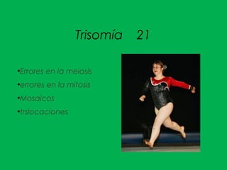 Trisomía 21
●
Errores en la meiosis
●
errores en la mitosis
●
Mosaicos
●
trslocaciones
 