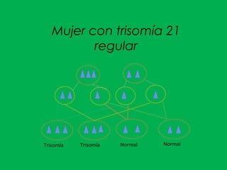 Mujer con trisomía 21
regular
Trisomía Trisomía Normal Normal
 