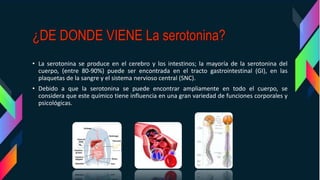 • La serotonina se produce en el cerebro y los intestinos; la mayoría de la serotonina del
cuerpo, (entre 80-90%) puede ser encontrada en el tracto gastrointestinal (GI), en las
plaquetas de la sangre y el sistema nervioso central (SNC).
• Debido a que la serotonina se puede encontrar ampliamente en todo el cuerpo, se
considera que este químico tiene influencia en una gran variedad de funciones corporales y
psicológicas.
 
