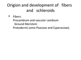 Origion and development of fibers
and schleroids
Fibers:
Procambium and vascular cambium
Ground Meristem
Protoderm( some Poaceae and Cyperaceae).